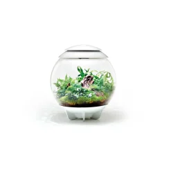Oase terrarium décoratif 60l avec cadre blanc - air 60 white