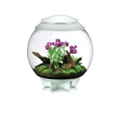 Oase terrarium décoratif 60l avec cadre blanc - air 60 white