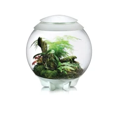 Oase terrarium décoratif 60l avec cadre blanc - air 60 white