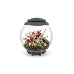 Oase terrarium décoratif 60l avec cadre gris - air 60 grey