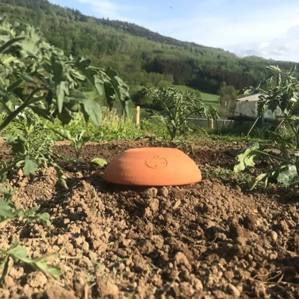 OLLAS ORIGIN - Céramique d'irrigation Ollas Jamet Origin n°3 - 3L