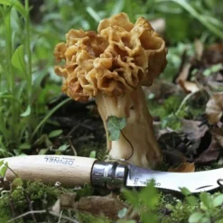 OPINEL - 2 couteau à champignon opinel 8 cm