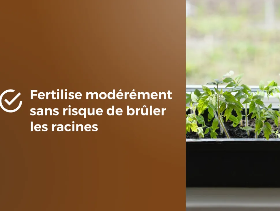 OR BRUN - Obrtsem6u -terreau semis- 6l -améliore le drainage