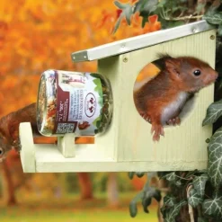 Pack abris + nourriture pour écureuils