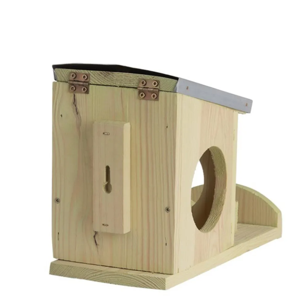 Pack abris + nourriture pour écureuils