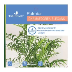 Palmier nain: pot d.17 cm h.40/60cm