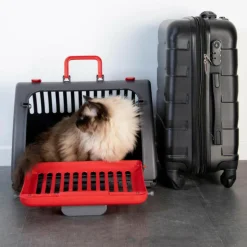 PARIS PRIX - Caisse de transport pour chat 