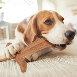 PARIS PRIX - Os à mâcher pour chien 