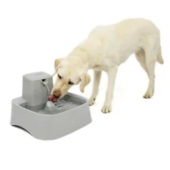 PETSAFE - - fontaine drinkwell 7,5 litres pour grandes races de chiens/plusieurs animaux de compagnie, facile a nettoyer et