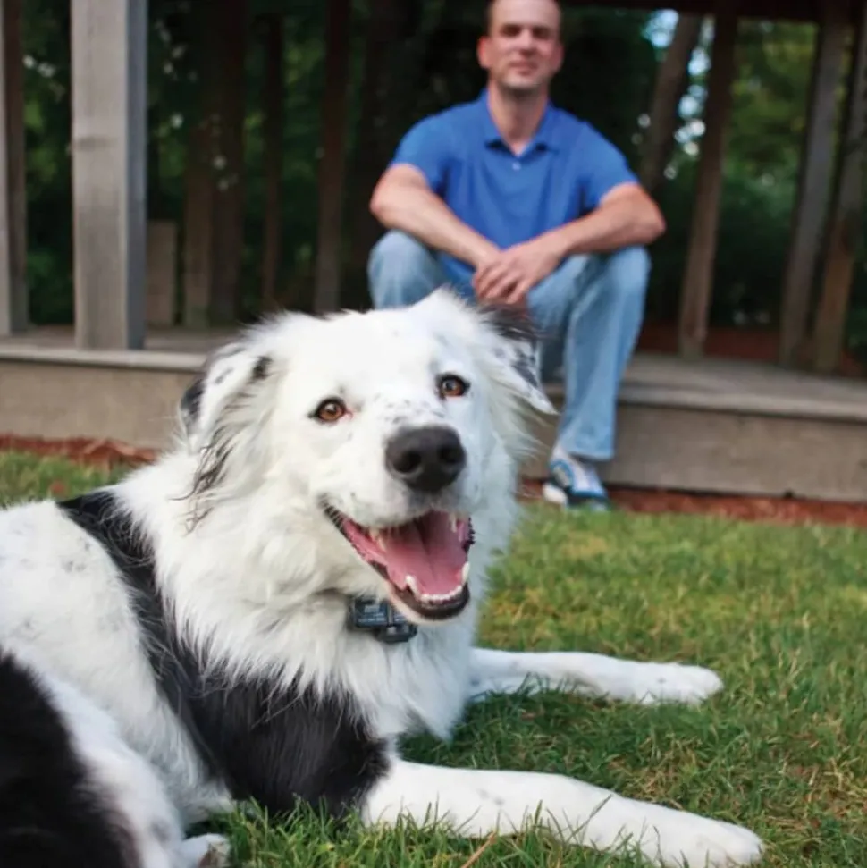 PETSAFE - Collier récepteur sans fil pour animaux de compagnie 3,6+ kg