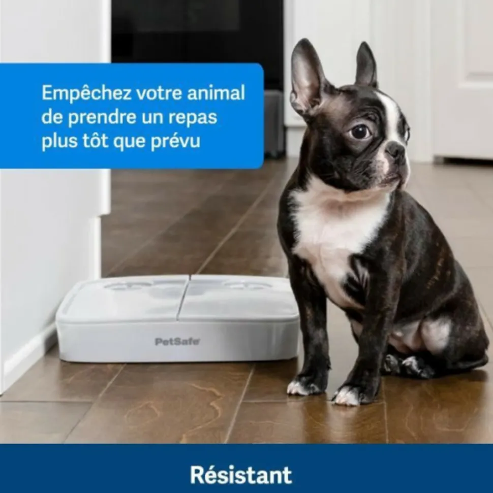 PETSAFE - Distributeur automatique - petsafe - 2 repas - plastique sans bpa - 300g capacité - minuterie réglable