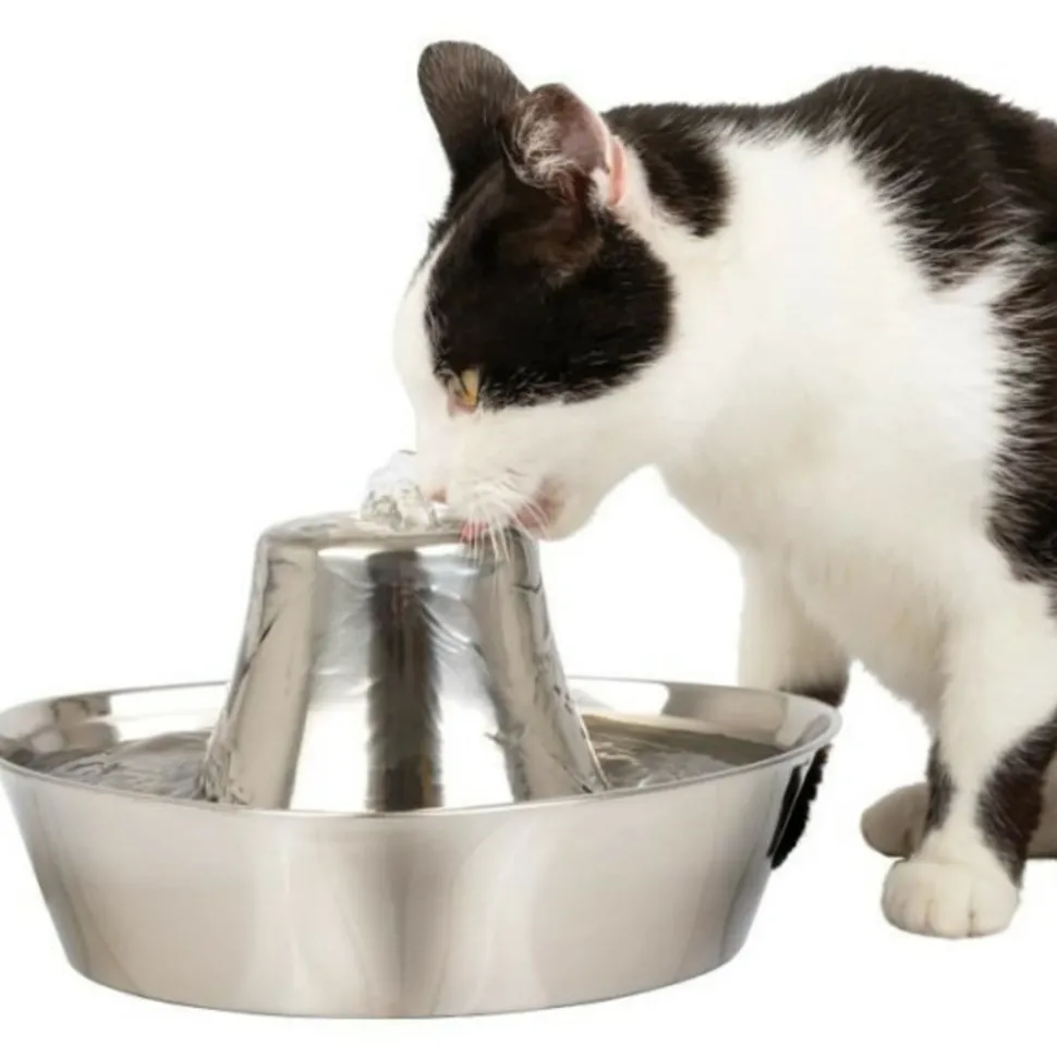 PETSAFE - Fontaine pour animaux - petsafe - seaside - inoxydable - 1,8 l - silencieuse - eau filtrée