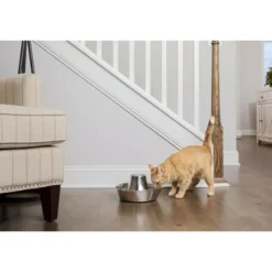 PETSAFE - Fontaine pour animaux - petsafe - seaside - inoxydable - 1,8 l - silencieuse - eau filtrée