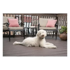 PETSAFE - Pbc19-16448 collier anti-aboiement lite pour chien