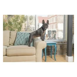 PETSAFE - Pbc19-16448 collier anti-aboiement lite pour chien