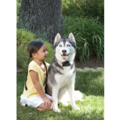 PETSAFE - Système de clôture pour grand chien supérieur à 3,6 kg