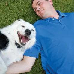 PETSAFE - Système de confinement sans fil pour animaux 3,6+ kg 55 m gris