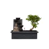 PLANT IN A BOX - Bonsaï - bonsai - hauteur 25-35cm - ⌀29cm