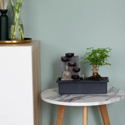 PLANT IN A BOX - Bonsaï - set de 2 - bonsai - hauteur 25-35cm - ⌀29cm