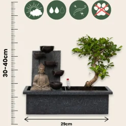 PLANT IN A BOX - Bonsaï - set de 2 - bonsai - hauteur 25-35cm - ⌀29cm