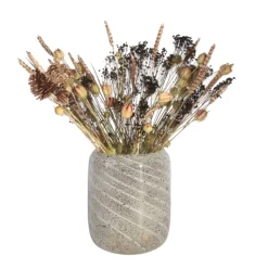 PLANT IN A BOX - Fleurs séchées - bouquet 'loose fit drummer'