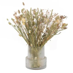 PLANT IN A BOX - Fleurs séchées - bouquet 'large anita'