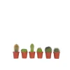 PLANT IN A BOX - Mélange de mini cactus - set de 6 - cactus - hauteur 5-10cm - ⌀5,5cm