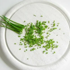 PLANTES AVENUE - Ciboulette/[-]godet - 5/20 cm