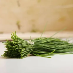 PLANTES AVENUE - Ciboulette/[-]godet - 5/20 cm