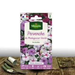 PLANTES AVENUE - Graines de pervenche de madagascar - vilmorin/[-]sachet