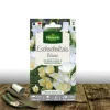 PLANTES AVENUE - Graines d'eschscholtzia blanc - vilmorin/[-]sachet
