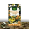 PLANTES AVENUE - Graines de dimorphotheca las vegas - vilmorin/[-]sachet