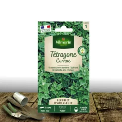 PLANTES AVENUE - Graines de tétragone cornue - vilmorin/[-]sachet