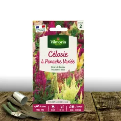 PLANTES AVENUE - Graines de célosie à panache variée - vilmorin/[-]sachet