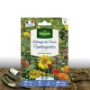 PLANTES AVENUE - Graines en mélange de fleurs - fleurs flamboyant/[-]sachet - 10 m²