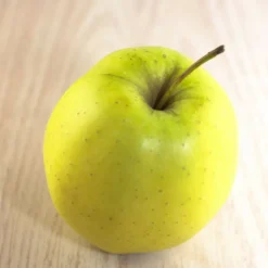 PLANTES AVENUE - Pommier golden delicious/[-]pot de 10l - gobelet 2 ans - 120/150 cm