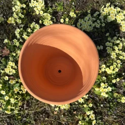 Pot d'ornementation agrume