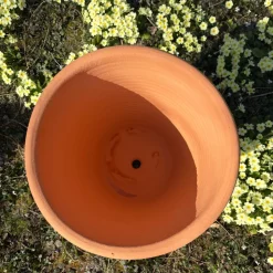 Pot d'ornementation tilia