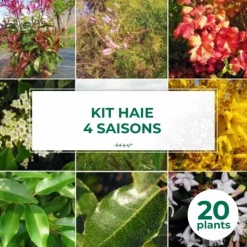 PÉPINIÈRES NAUDET - Haie 4 saisons - 20 arbustes