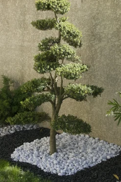 PRADIER - Galet roulé blanc carrare 15/25 en sac de 15 KG