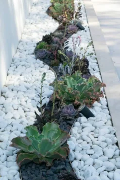 PRADIER - Galet roulé blanc carrare 15/25 en sac de 15 KG