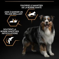 PROPLAN - Croquettes chien adulte de moyenne taille - 14 kg + 2,5 kg offerts