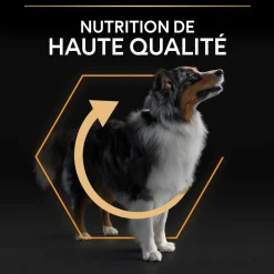 PROPLAN - Croquettes chien adulte de moyenne taille - 14 kg + 2,5 kg offerts
