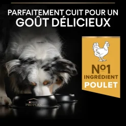 PROPLAN - Croquettes chien adulte de moyenne taille - 14 kg + 2,5 kg offerts