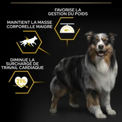 PROPLAN - Croquettes Light pour chien stérilisé - 14 kg + 2,5 kg offerts.