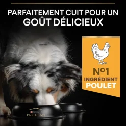 PROPLAN - Croquettes Light pour chien stérilisé - 14 kg + 2,5 kg offerts.