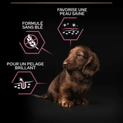 PROPLAN - Croquettes pour chiot peau sensible Super Premium - 3 kg