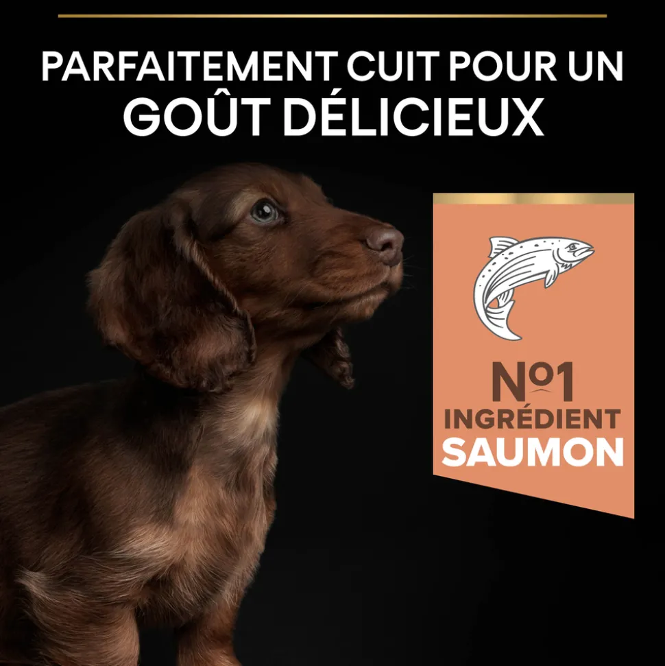 PROPLAN - Croquettes pour chiot peau sensible Super Premium - 3 kg