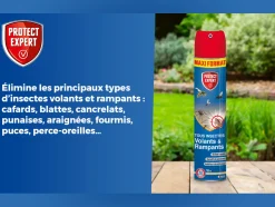 PROTECT EXPERT - Anti insectes volants & rampants - action choc & rapide - intérieur & extérieur - 750ml