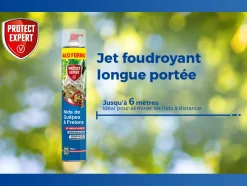 PROTECT EXPERT - Anti nids de guêpes & frelons - action choc & rapide - détruit les nids en 1 minute - 750ml
